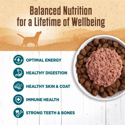 Wellness 95% Whitefish Natural Wet Grain Free Canned Dog Food, 13.2-Ounce Can (Pack of 12)