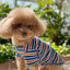 Dog Shirts Cotton Striped T-Shirt, Summer Pet Clothes for Small Dogs, 2-Pack Soft Puppy Apparel Cat Tee, Breathable Stretchy, Blue Yellow XXL