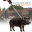 Dog Catcher Pole Animal Control Stainless Steel Pig Holder Cat Heavy Duty Catch