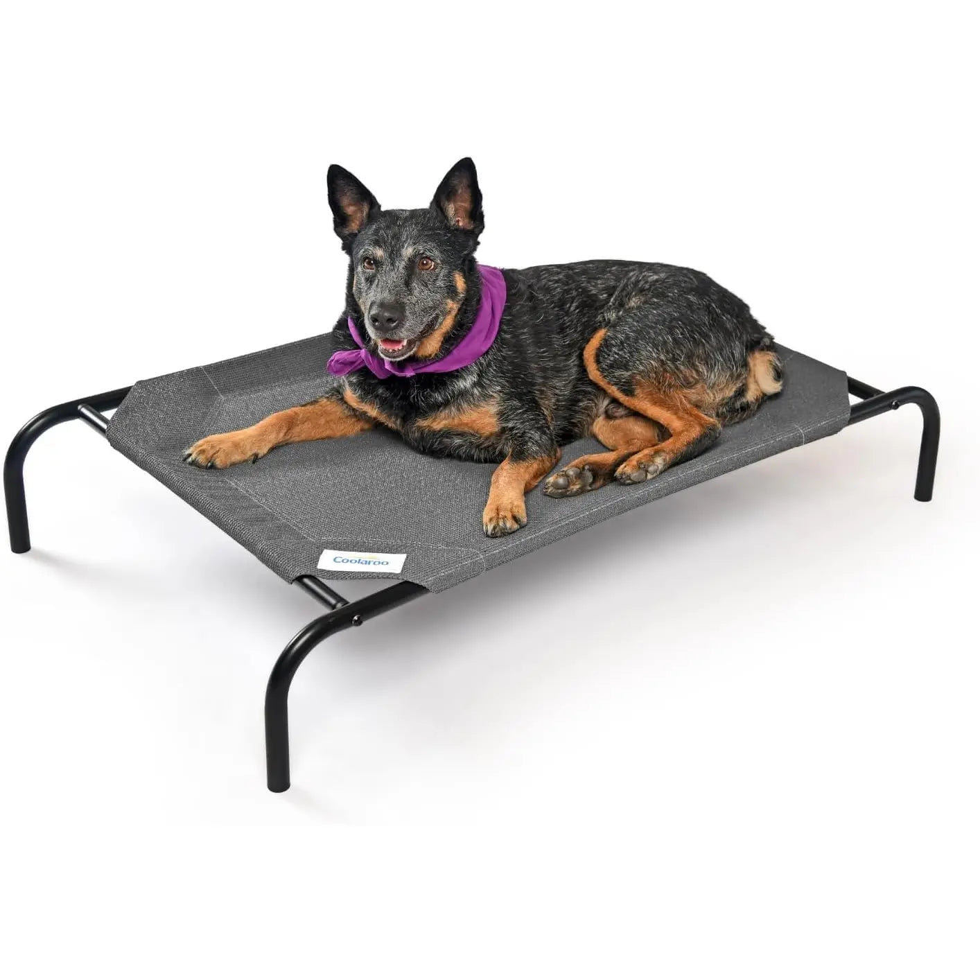 Coolaroo the Original Cooling Elevated Dog Bed, Indoor and Outdoor, Medium, Gunmetal Coolaroo