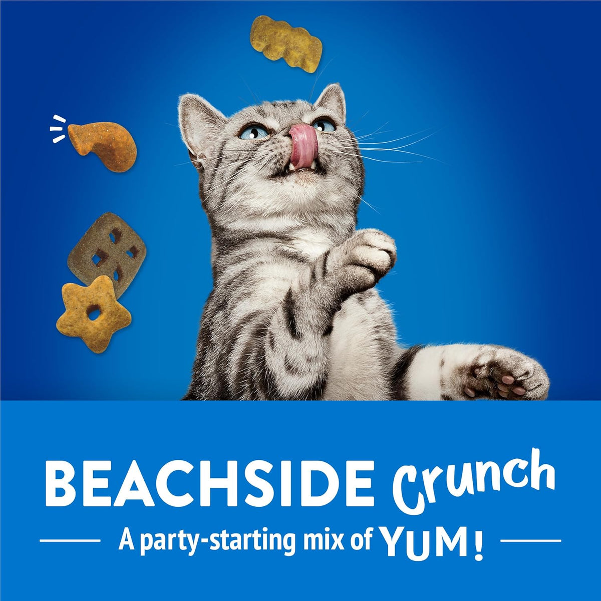 Friskies Purina Party Mix Beachside Crunch Treats, 30 Oz Pouch