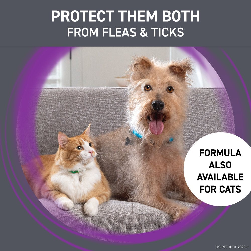 FRONTLINE® plus for Dogs Flea and Tick Treatment, Small Dog, 5-22 Lbs, Orange Box, 3 CT