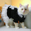 ZPAQI Cat Outfits for Cats Only Pet Costume Dog Clothes Black Dress for Girl Dogs