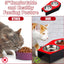 Teenyyou Gothic Cat Food Bowl 5 Degree Tilted Halloween Coffin Cat Bowl
