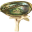 Abalone shell ash tray/ wooden Stand /  Sage