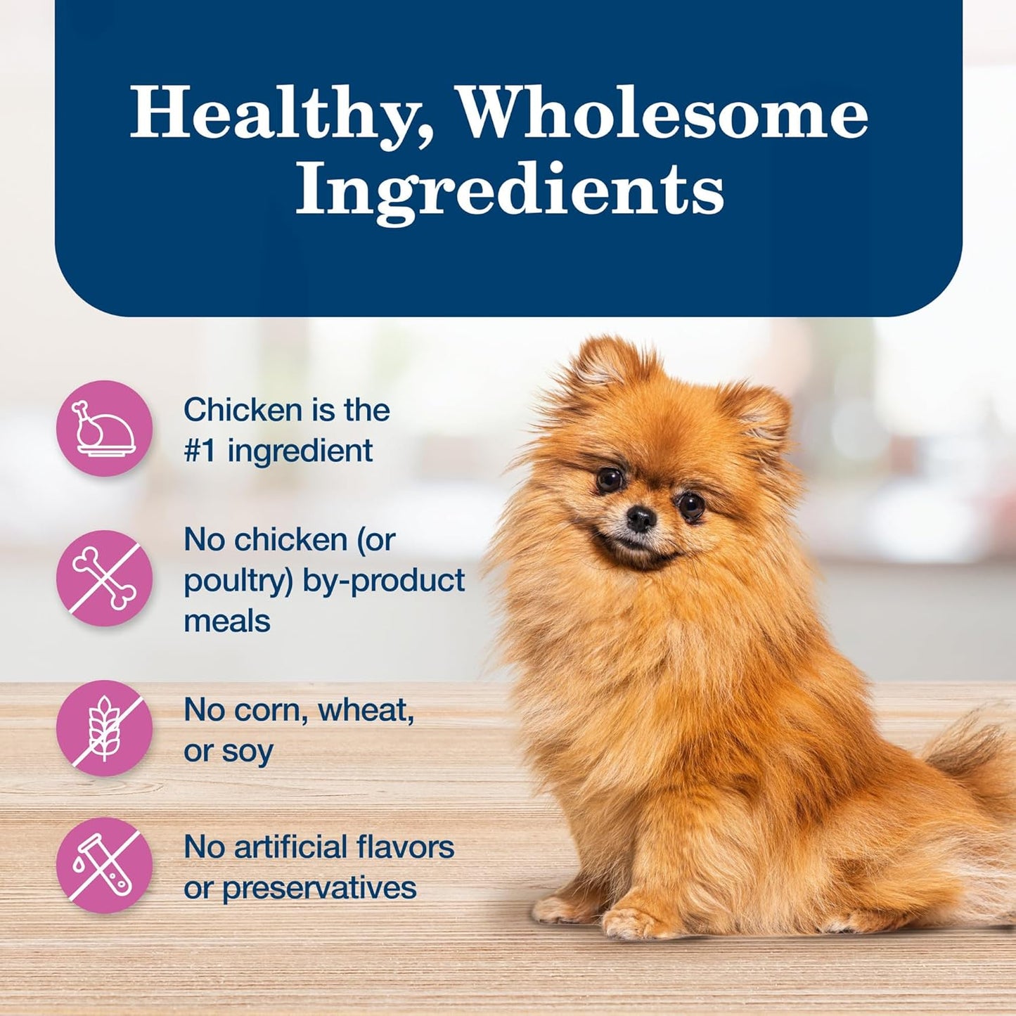 Blue Buffalo Homestyle Recipe Adult Small Breed Wet Dog Food, Made with Natural Ingredients, Chicken Recipe, 5.5-Oz Cans (24 Count)
