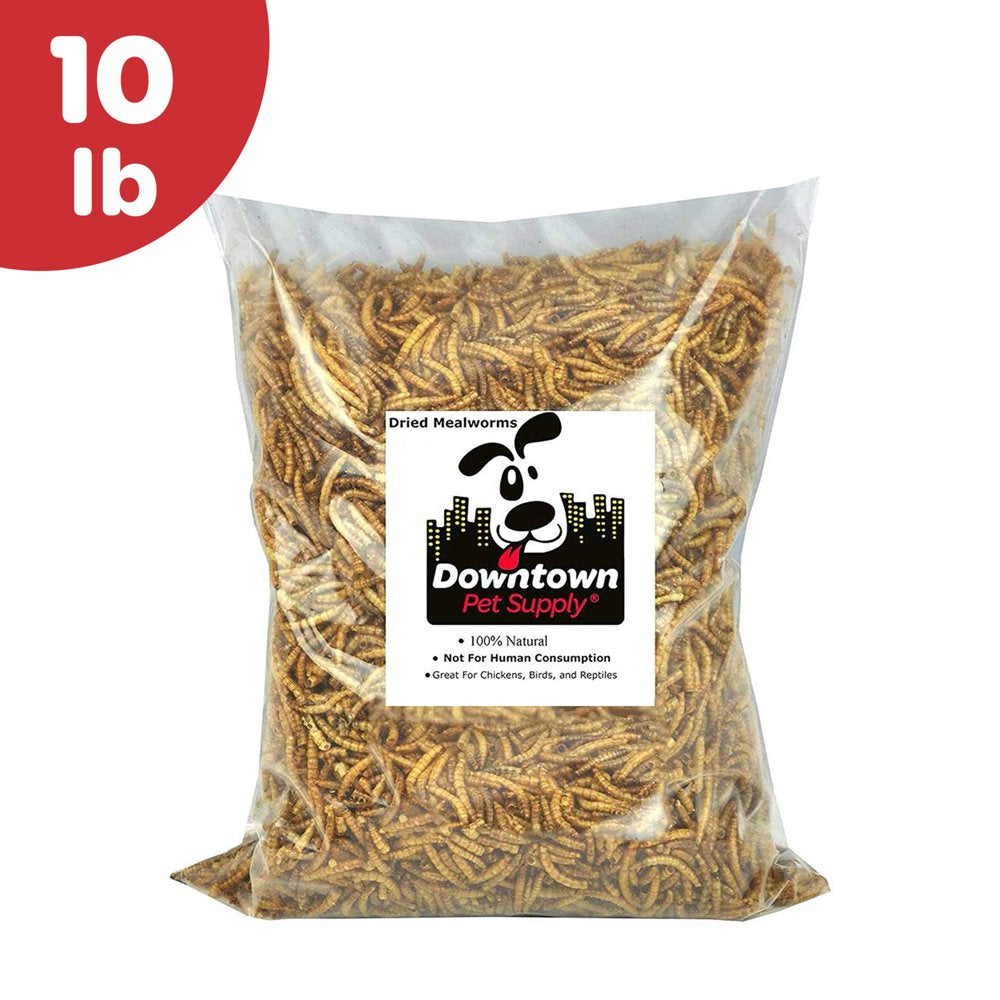 Downtown Pet Supply Dried Mealworms for Chicken Feed, Turtle Food 10 Lbs