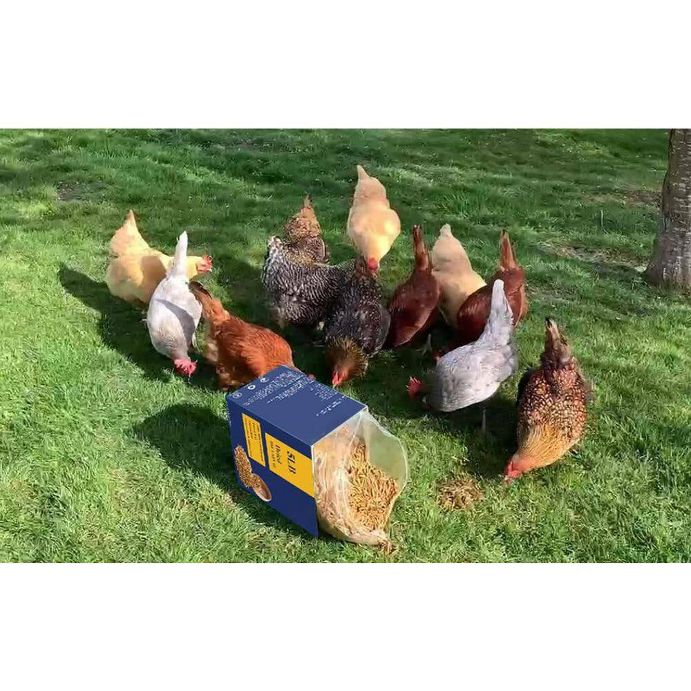 Calcium-Rich Non-Gmo Chicken Feed 85X More Calcium than Mealworms 5Lb Molting Supplement for Hens Ducks Turkeys