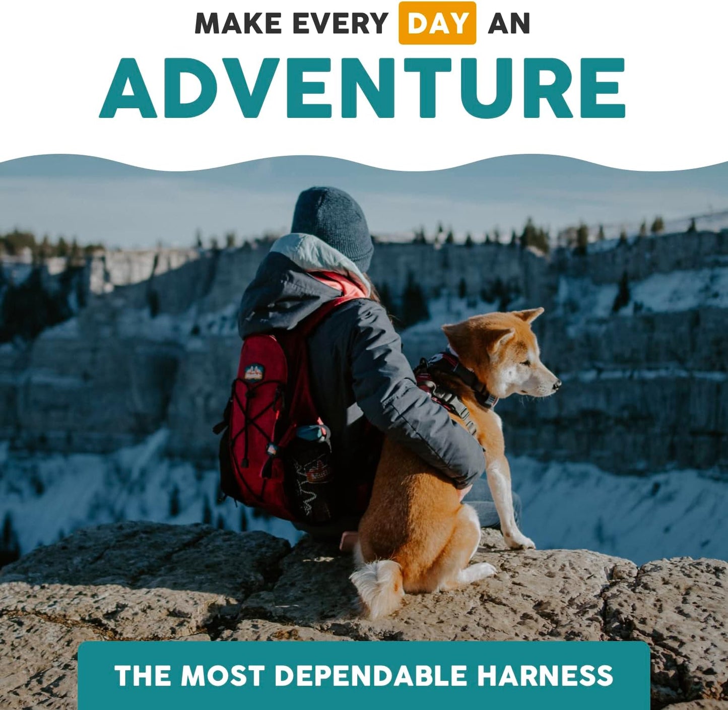 Embark Adventure Small Dog Harness – No-Pull, Reflective Trim, Military-Grade Nylon, Front Clip with Gel-Lined Handle