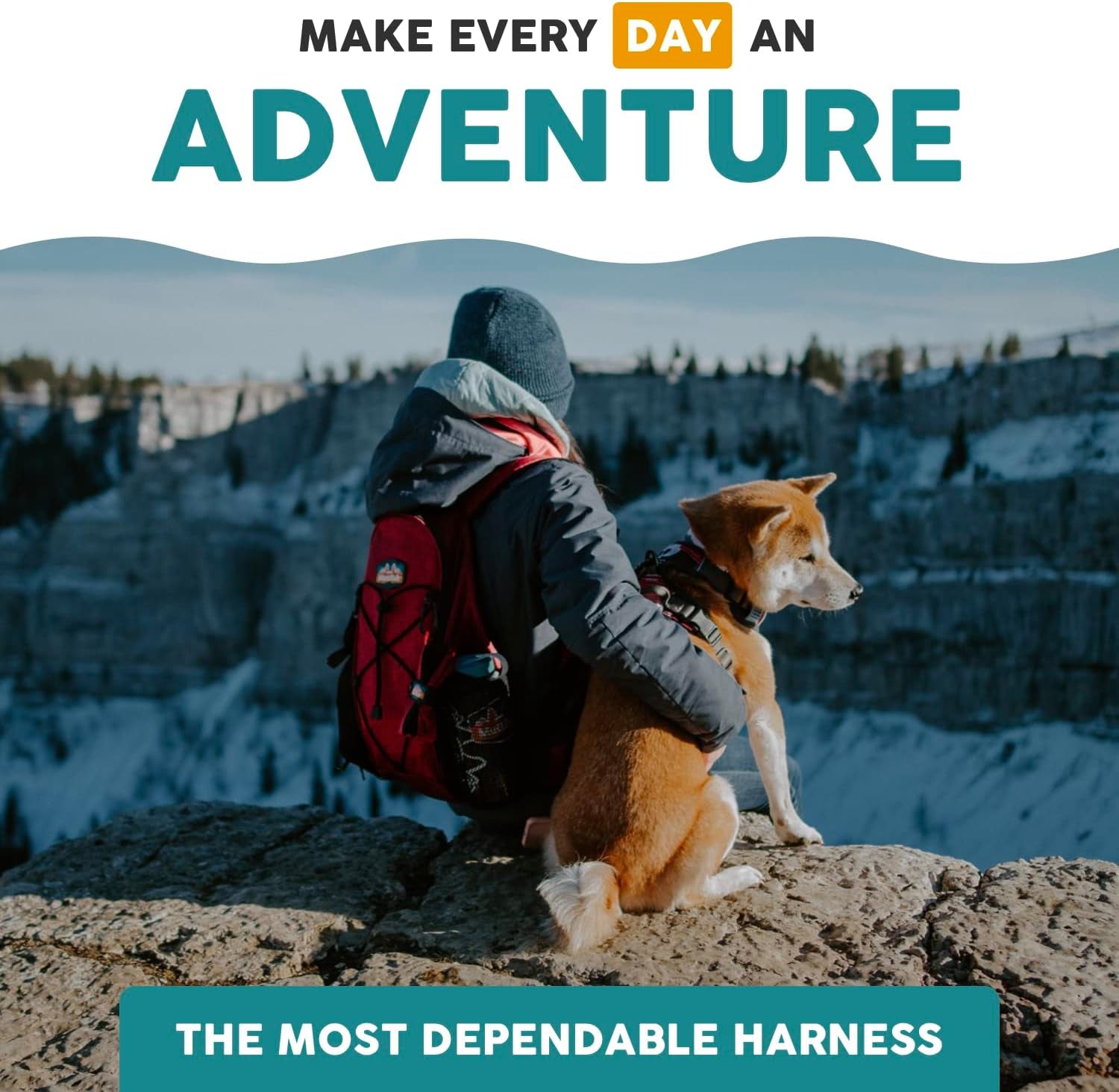 Embark Adventure Small Dog Harness – No-Pull, Reflective Trim, Military-Grade Nylon, Front Clip with Gel-Lined Handle