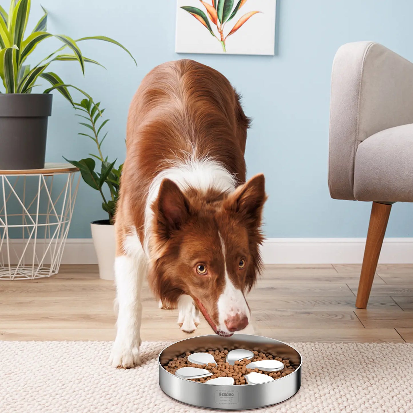 FEEDOO Slow Feeder Dog Bowls Large Breed 4Cups 304 Stainless Steel with Non-Slip Base and Maze Design for Slow down Eating Cat Water Fountain