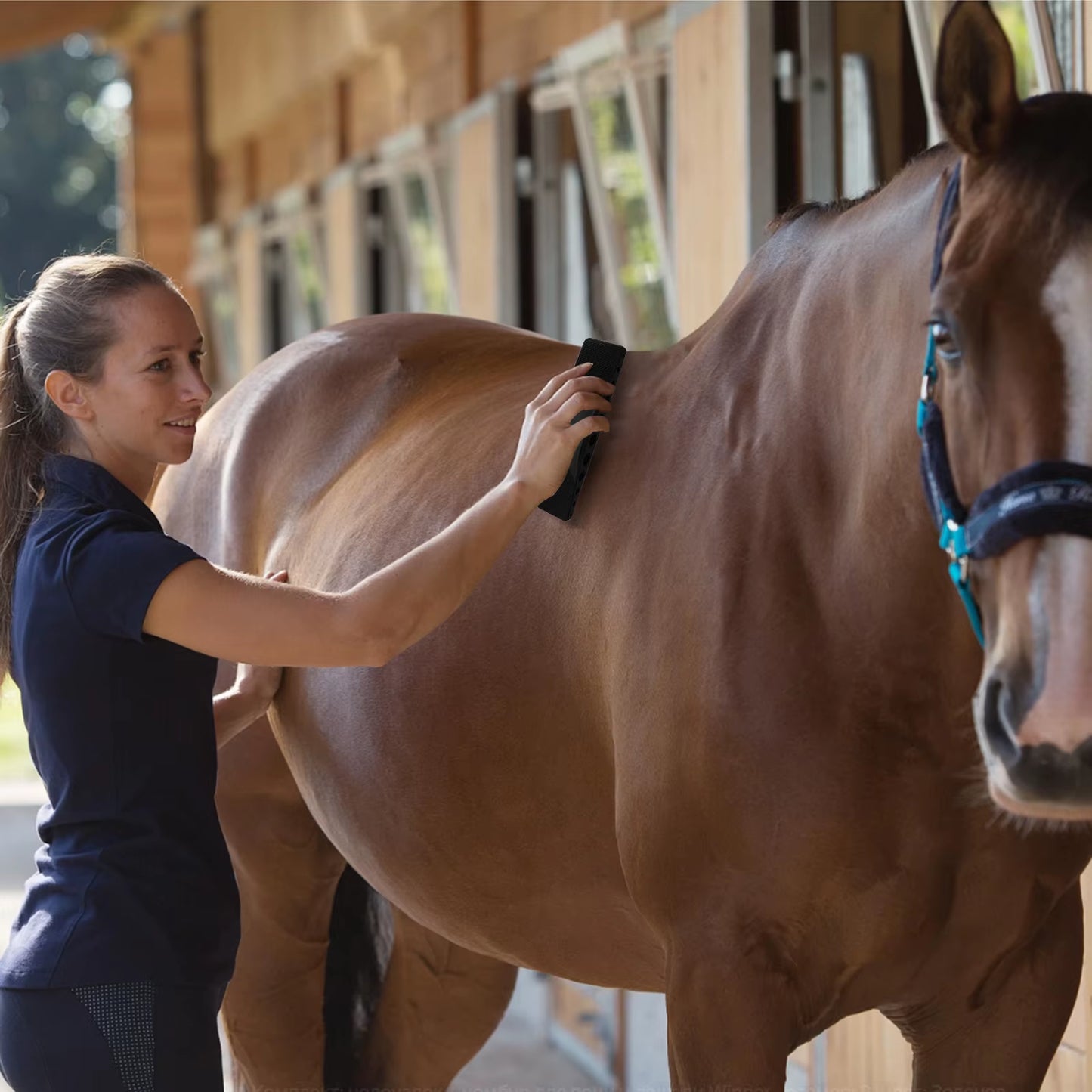 Horse Grooming Brush, Horse Brushes, Horse Massage Comb, Upgraded TPR Horse Hair Brush, Pet Grooming Supplies Set for Horse Dog