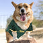 NFL GREEN BAY PACKERS DOG Jersey, Small