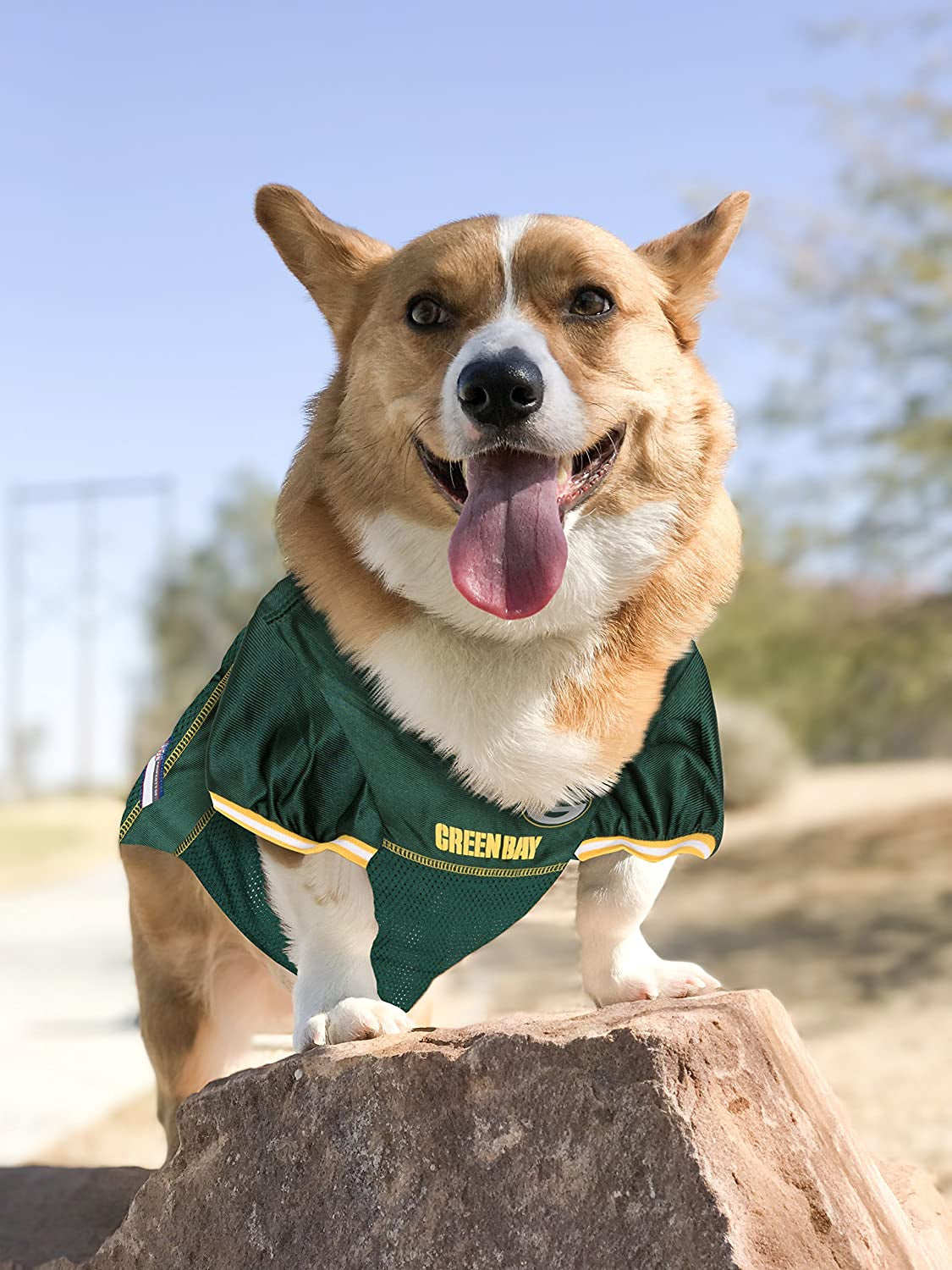 NFL GREEN BAY PACKERS DOG Jersey, Small