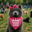 Parisian Pet Pink Dog Bandanas - Adjustable Drama Queen Puppy Bandana - Girl Dog Accessories - Breathable and Stylish Dogs Kerchief - Triangle Pet Scarves - Small Dogs Bandana - Bib for Pets