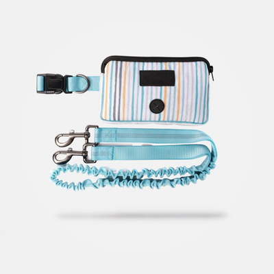 Stripe Blue Hands Free Dog Leash