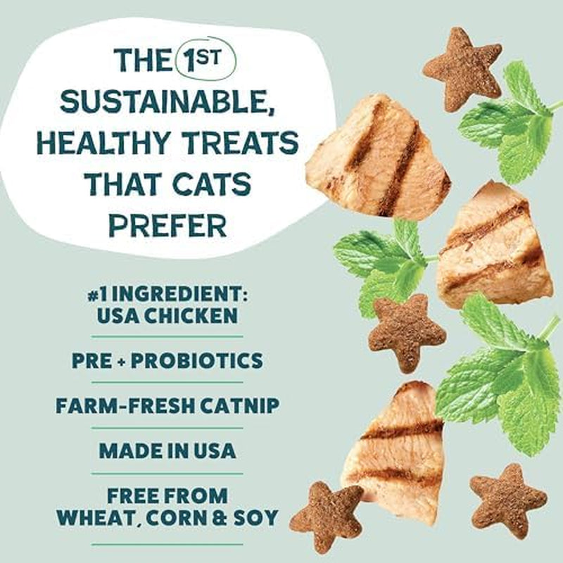 Shameless Pets Crunchy Cat Treats - Catnip N Chill, 2.5 Oz