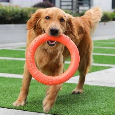 Dog Ring Toy