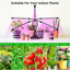 Grow Light Plant Lights for Indoor Plants LED Lamp Bulbs Full Spectrum