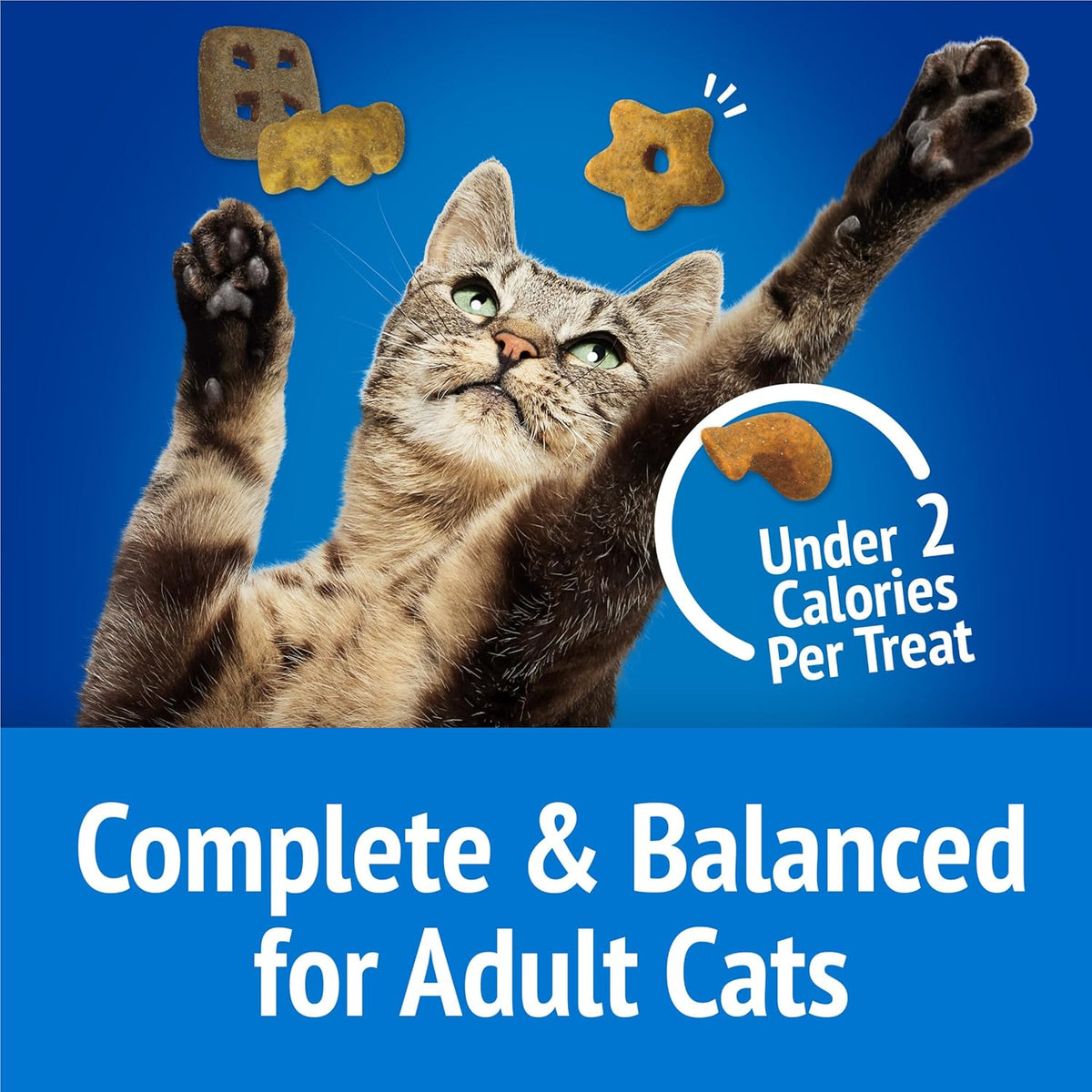 Friskies Purina Party Mix Beachside Crunch Treats, 30 Oz Pouch