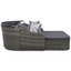 79.9" Outdoor Sunbed with Adjustable Canopy, Double lounge, PE Rattan Daybed, Gray Wicker And Cushion