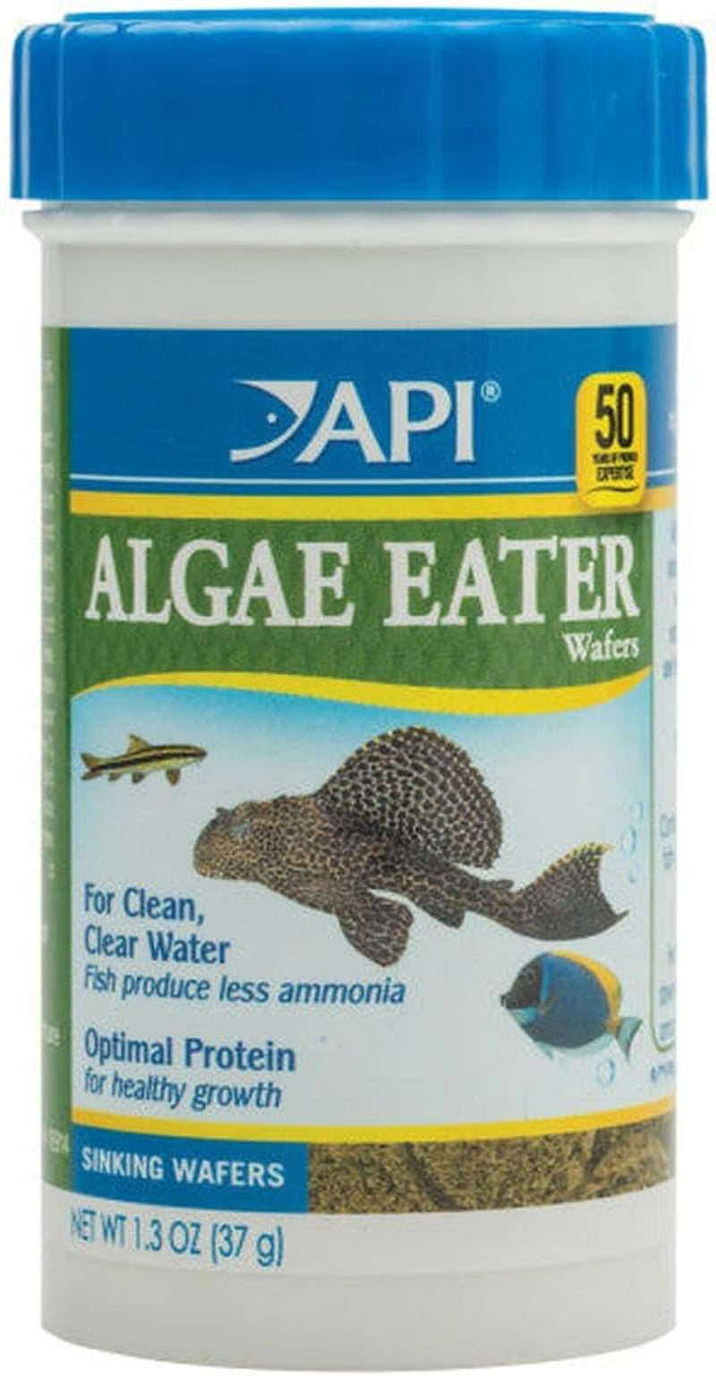 API ALGAE EATER WAFERS Algae Wafer Fish Food 3.7-Ounce Container