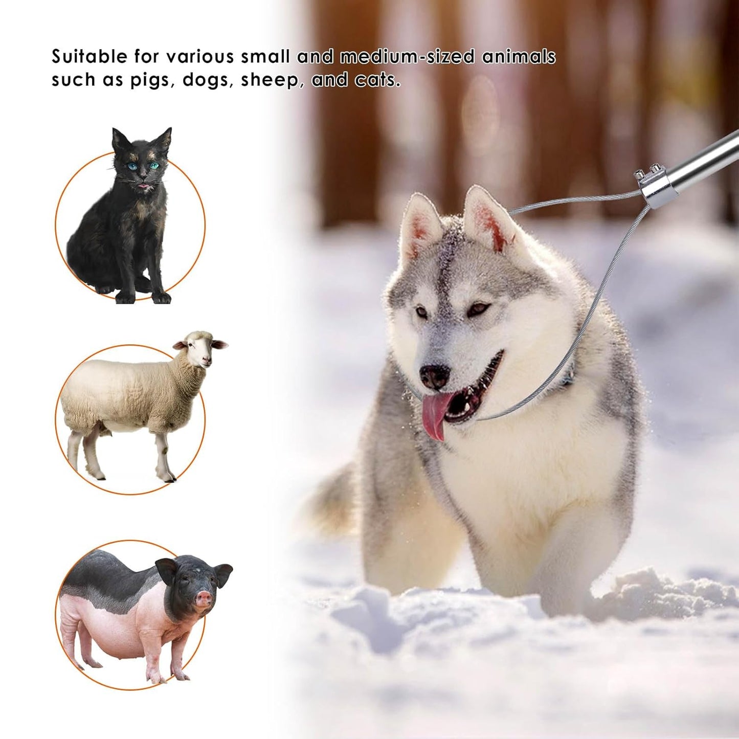 Dog Catcher Pole Animal Control Stainless Steel Pig Holder Cat Heavy Duty Catch