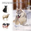 Dog Catcher Pole Animal Control Stainless Steel Pig Holder Cat Heavy Duty Catch