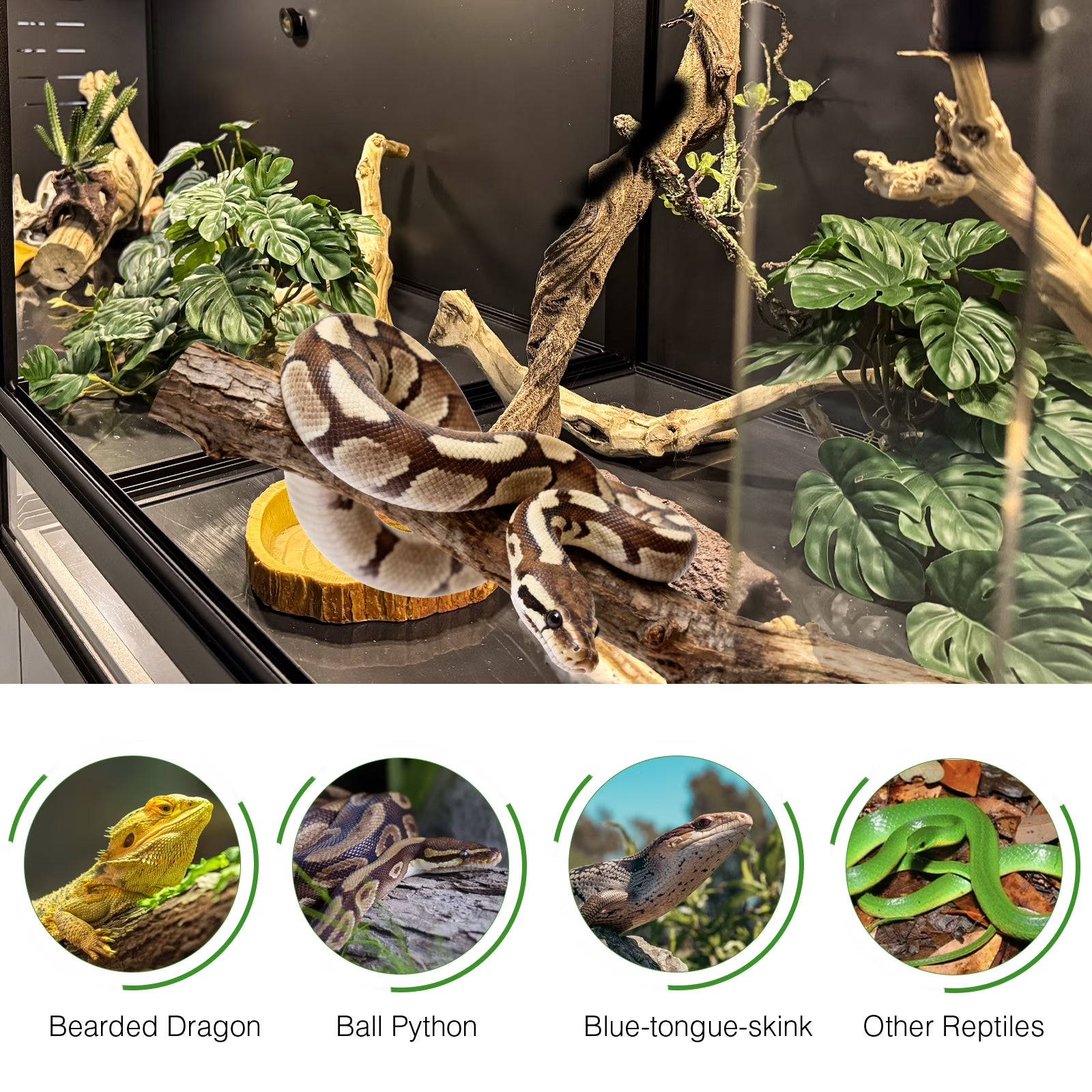 Toxirium 44X20X20 Inch 76 Gallon PVC Reptilie Terrarium, Stackable Enclosure with Sliding Doors for Bearded Dragons, Lizards and Snakes