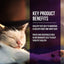 Fussie Cat Market Fresh Quail & Duck Meal Formula Grain-Free Dry Cat Food 4Lb