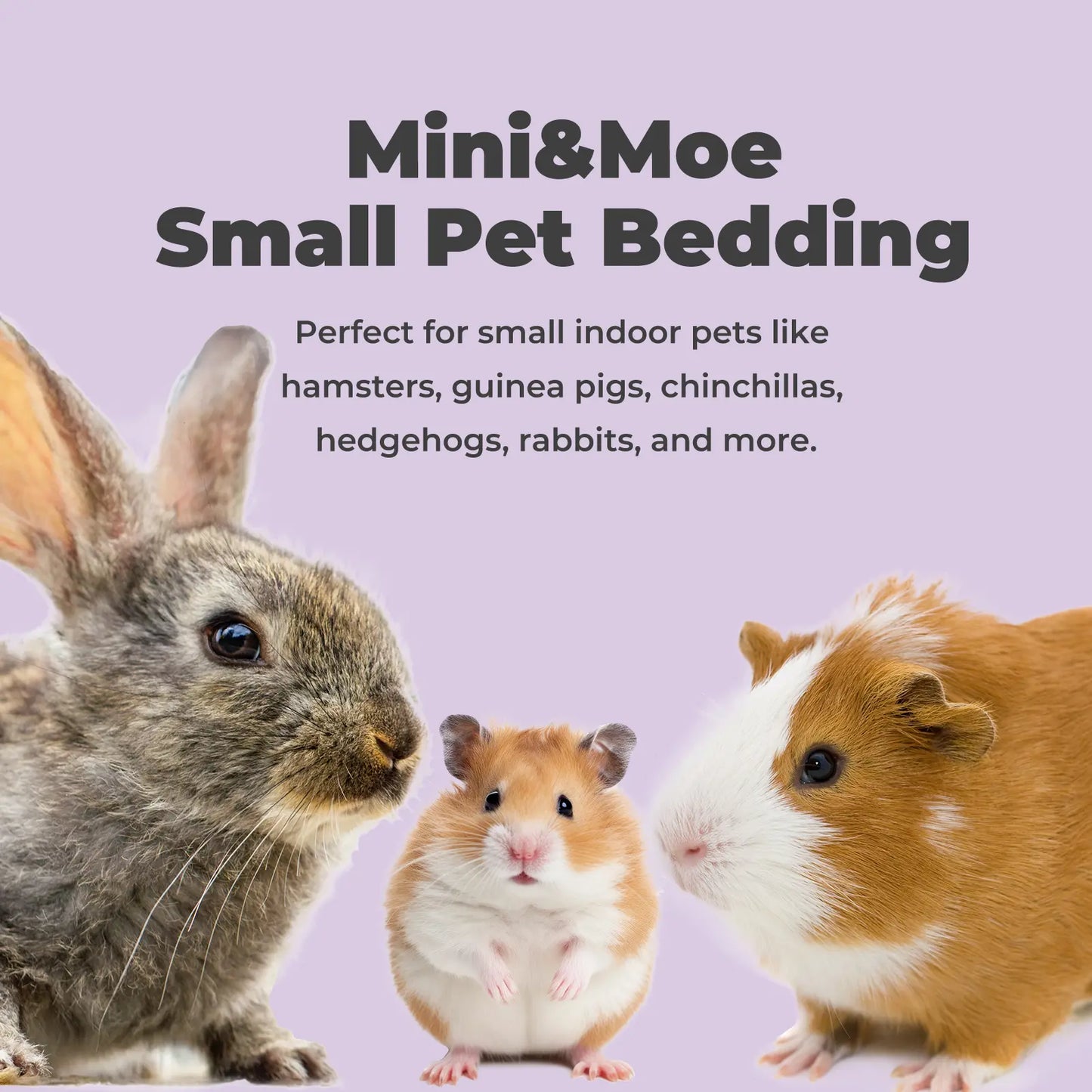 Cozy Small Animal Pet Bedding for Pet Guinea Pigs, Rabbits, Hamsters, Gerbils, and Chinchillas,Hamster Cage,Pet Toy,Stuff