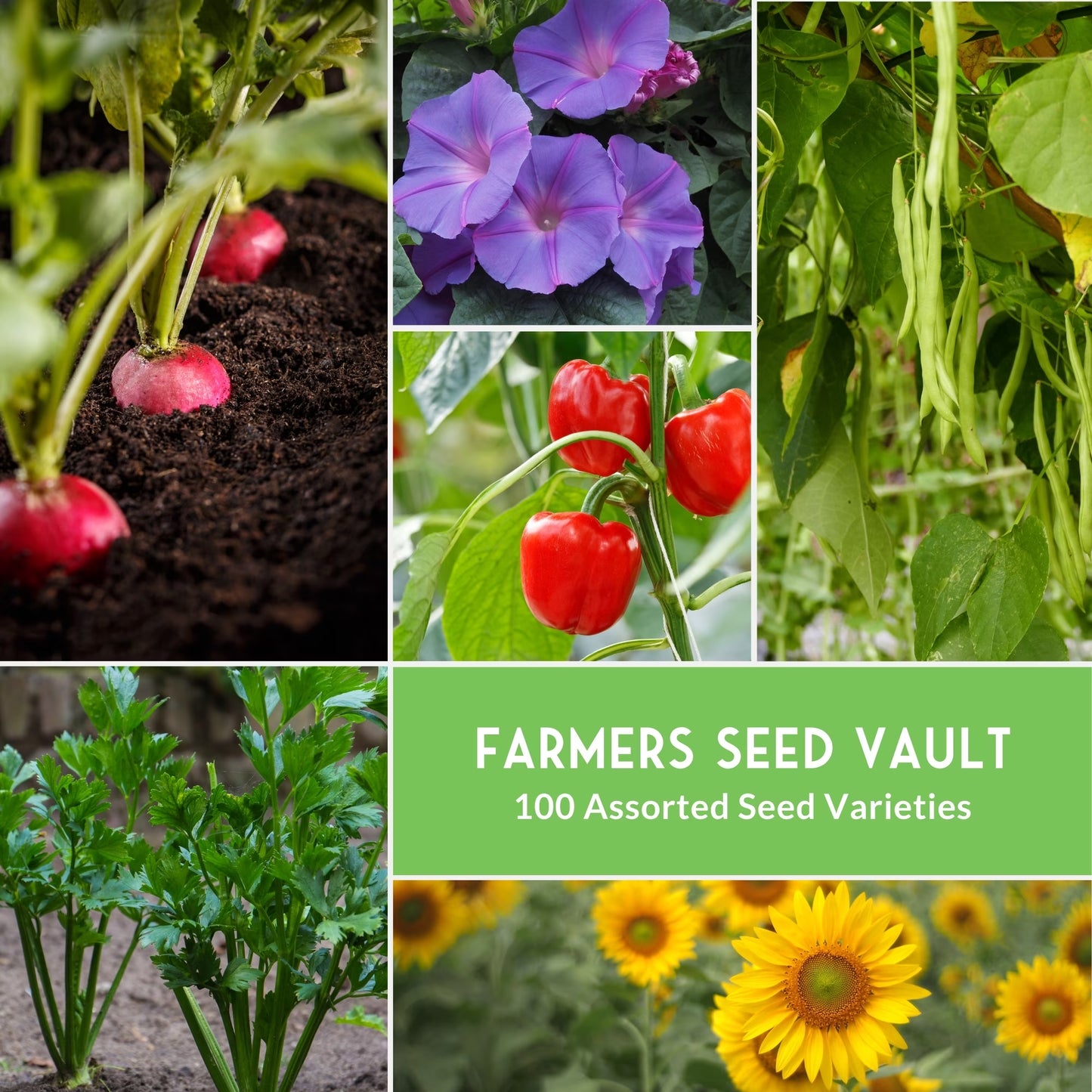Unlock Your Green Thumb with the 100 Pack Farmer's Kit of Non-GMO Heirloom Vegetable Seeds - Perfect for Emergency Preparedness and Sustainable Gardening!