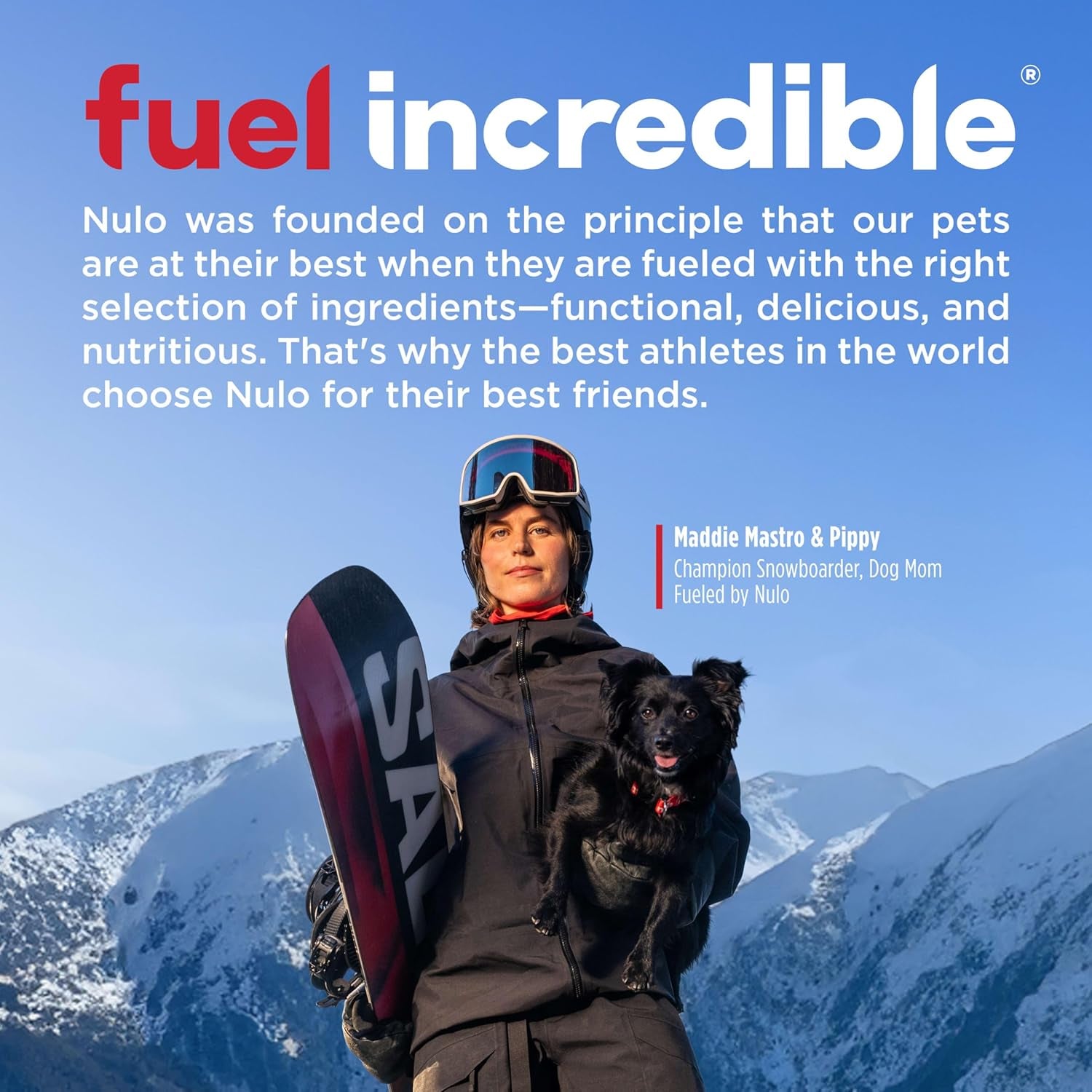 Nulo Freestyle Adult Dog Food, Premium All Natural Grain-Free Dry Small Kibble Dog Food, with BC30 Probiotic for Healthy Digestion, and High Animal-Based Protein with No Chicken or Egg Alternatives