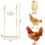 Chicken Swing , 2 Pack Chicken Toys, Chicken Swing , Chicken Swing for Chickens Rooster Poultry Parrots (2Pcs)