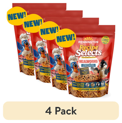 (4 Pack) Pennington Recipe Selects Dried Mealworms for Birds, Bluebird and Wild Bird Food for outside Feeder, 17.6 Oz Bag, 1 Pack