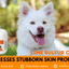 Classic's Lime Sulfur Pet Skin Cream