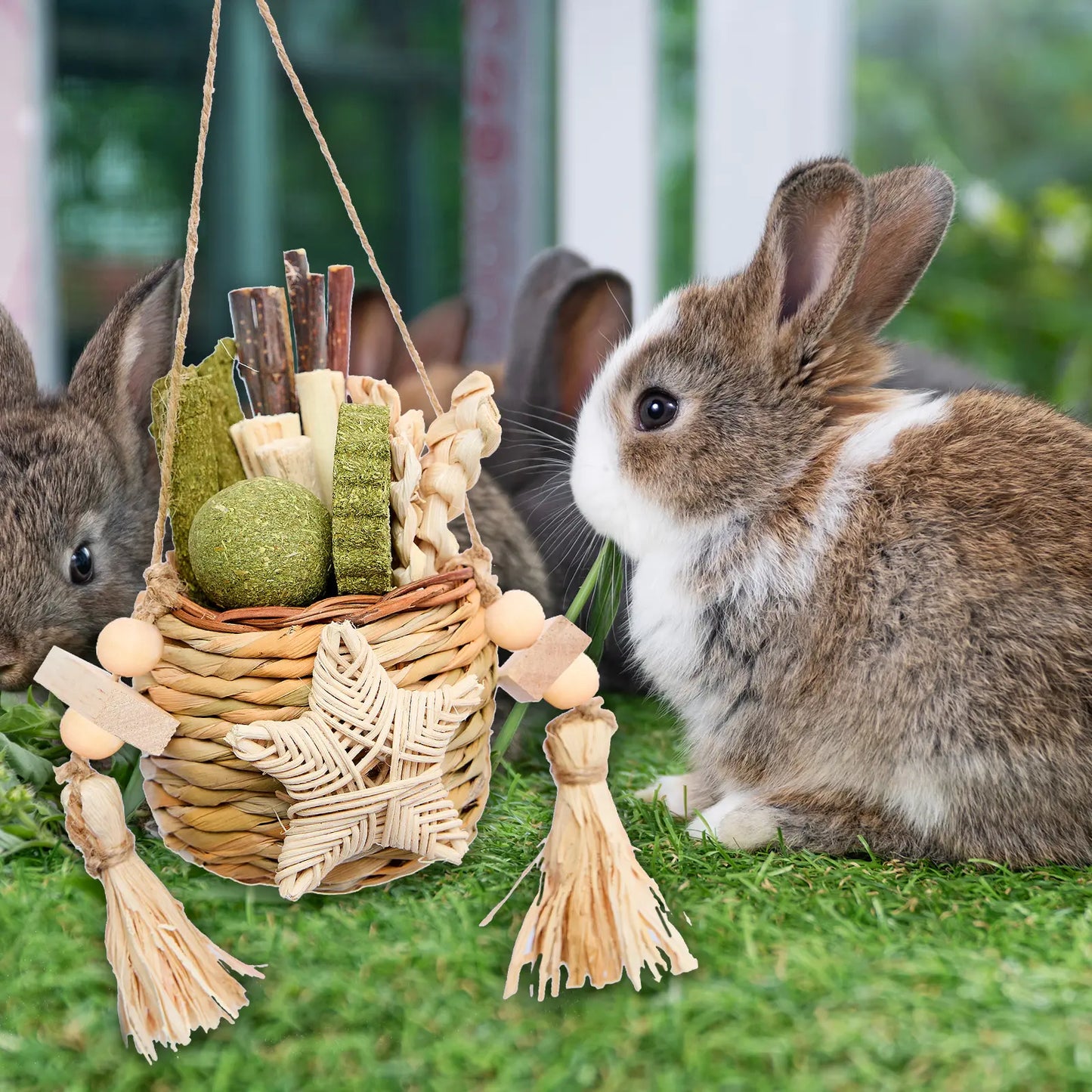 Rabbit Chew Toys, Reed Grass Hanging Basket Chews, Woven Bunny Chewing Timothy Cake Wood Treats for Small Pets