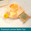 Teelux Lemon Balm Tea Bags, Pure & Natural Lemon Balm Herbal Tea, Lemony & Citrusy Flavor, Caffeine Free, 100 Count