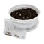 Komodo Grow Your Own Dandelion Reptile Food Kit , White Cup with Brown Soil and Dandelion Seeds
