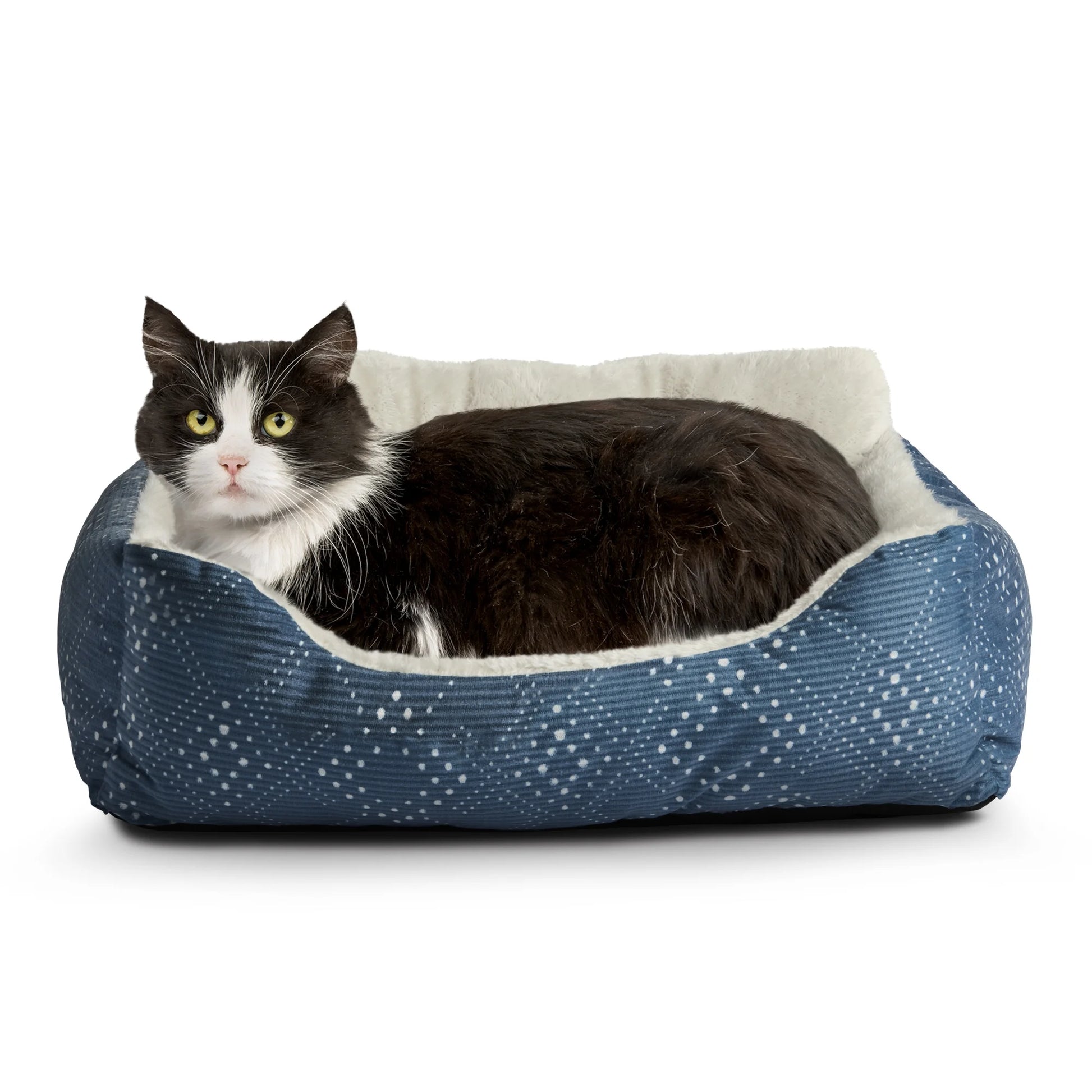 Vibrant Life Puppy Dog Bed, Plush Bolster Dog for Small Dogs, Small, 21" X 17", Blue