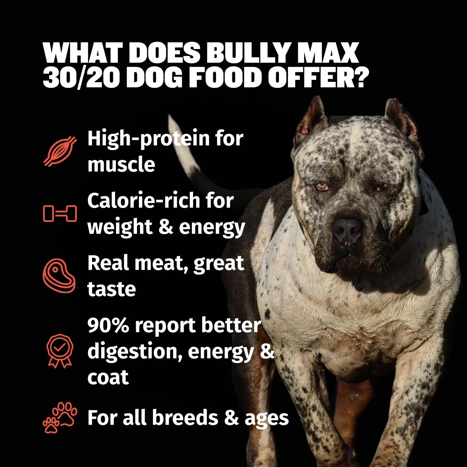 Bully Max 30/20 High Protein Beef Dog Food 15 Lbs - High Performance Filler-Free Formula - Supports Muscle Gain & Health - 530 Calories per Cup - No Corn, Wheat, or By-Products