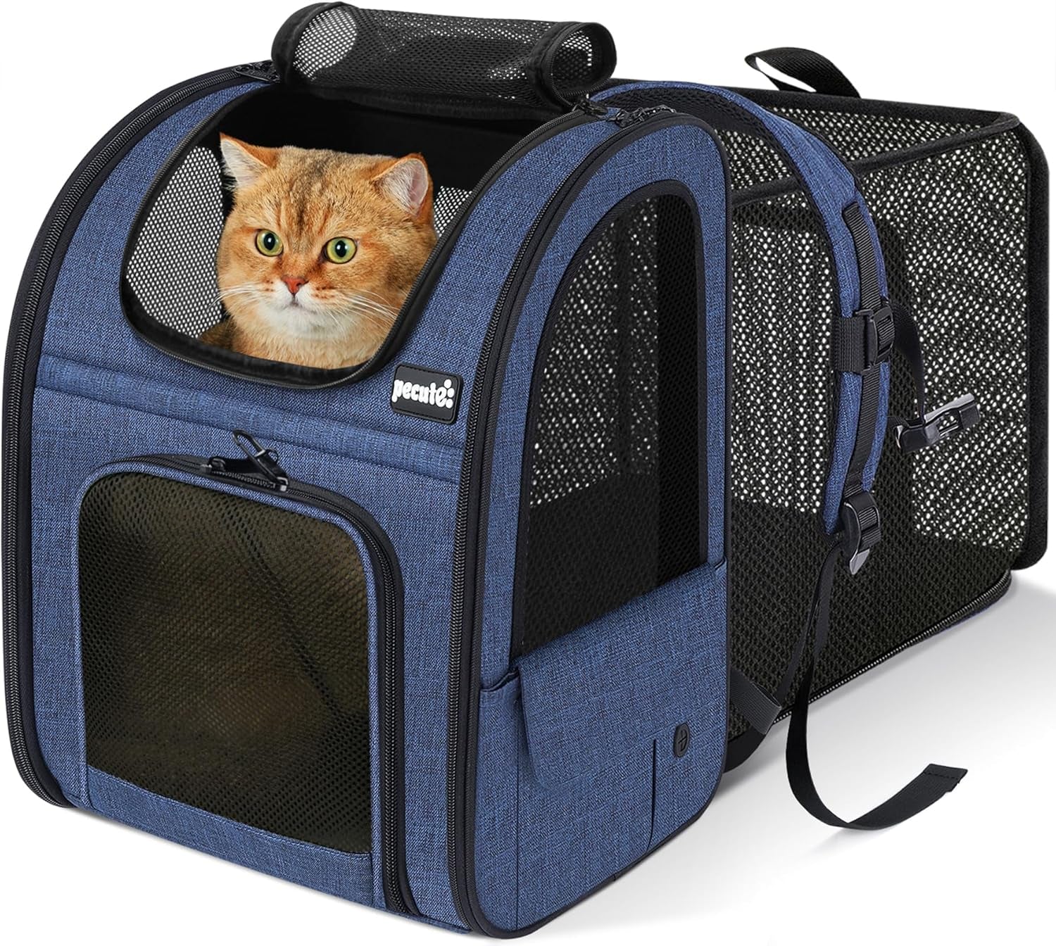 Pecute Cat Backpack Carrier Expandable, Pet Backpack for Cats & Small Dogs up to 11Lbs, with 4-Side Breathable Mesh, Multi-Entry & Lockable Zippers for Travel, Hiking, Camping - Hands Free, Blue