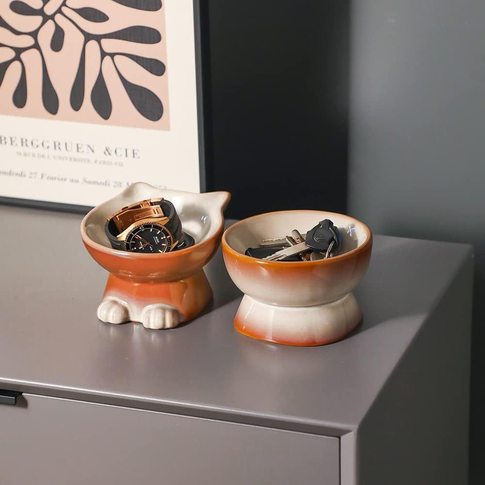 Nihow Elevated Cat Bowls,5 Inch Ceramic Raised Cat Food and Water Bowl Set