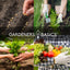 Vegetable Seed Vault Kit – 35 Heirloom Non-Gmo Vegetable Seeds for Gardening Survival Food Storage