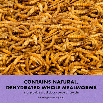 Zilla Reptile Munchies Mealworm Resealable Bag, 3.75 Ounces