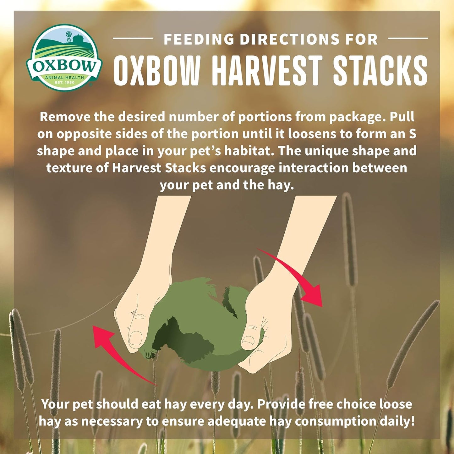 Oxbow Harvest Stacks, Timothy Hay, Rabbits & Guinea Pigs, Carrot, 35 Oz | Compressed Timothy Hay Stacks for Rabbits, Guinea Pigs & Chinchillas, Less Dusty, Travel Friendly, Easy to Feed, Made in USA