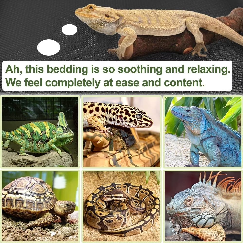 Tutuviw Reptile Carpet Reptile Substrate Floor Reptile Terrarium Mat Liner Durable and Dirt Resistant Reptile Carpet for Leopard Gecko Lizard Bearded Dragon Tank Accessories(Black)
