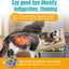 Raised Cat Food Bowls-3 Bowl Elevated Cat Feeding Station with Mat