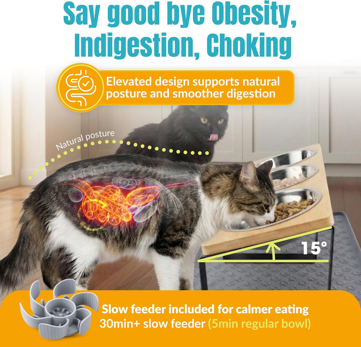 Raised Cat Food Bowls-3 Bowl Elevated Cat Feeding Station with Mat