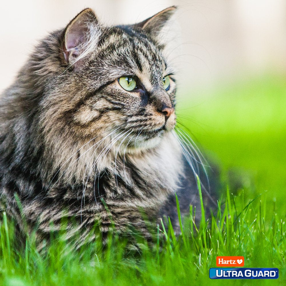 Hartz Ultraguard Topical Flea and Tick Prevention Treatment for Cats and Kittens, 3 Treatments